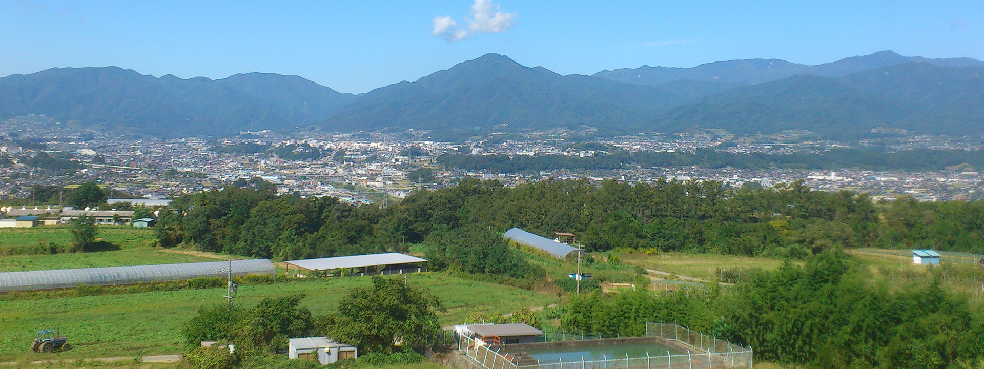 有限会社沢柳きのこ園