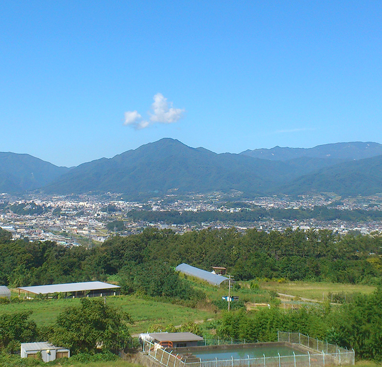 有限会社沢柳きのこ園